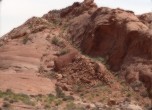 The Dugway -- Most of this section of the road up Cottonwood Hill was blasted out of the sandstone. Lamont Crabtree Photo 